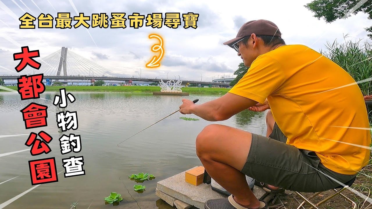 重新橋跳蚤市場旁邊的水池，就有一種很特別的魚？  ｜旅遊｜小物釣 ｜微物釣 ｜大都會公園 ｜親子活動 ｜親子假日活動場所 ｜#小物釣り  #タナゴ #Tanago