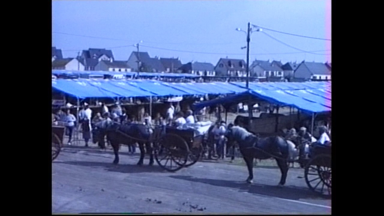 1986 festival de l'élevage à Mayenne