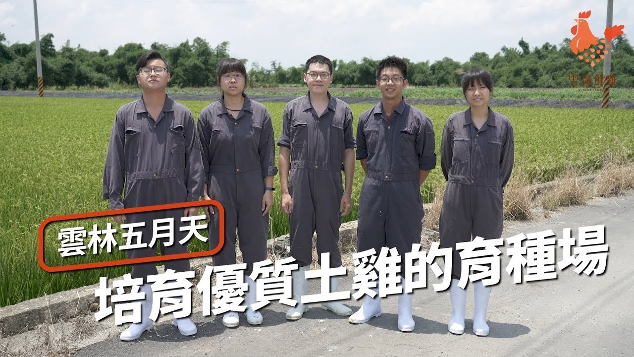 1.雲林五月天 培育台灣優質土雞的育種場