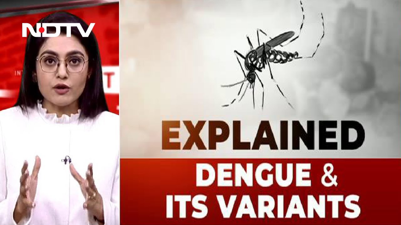 Explained: Dengue And Its Variants | FYI