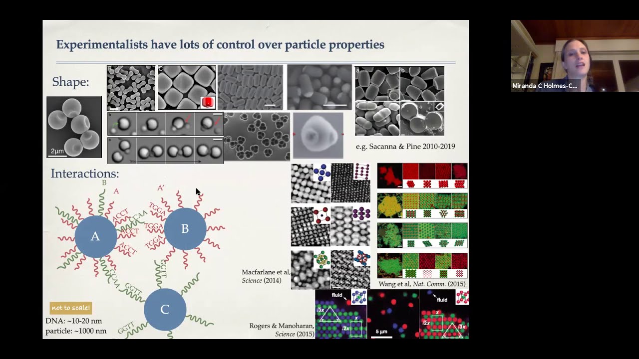 MRSEC Seminar: Miranda Holmes-Cerfon, New York University
