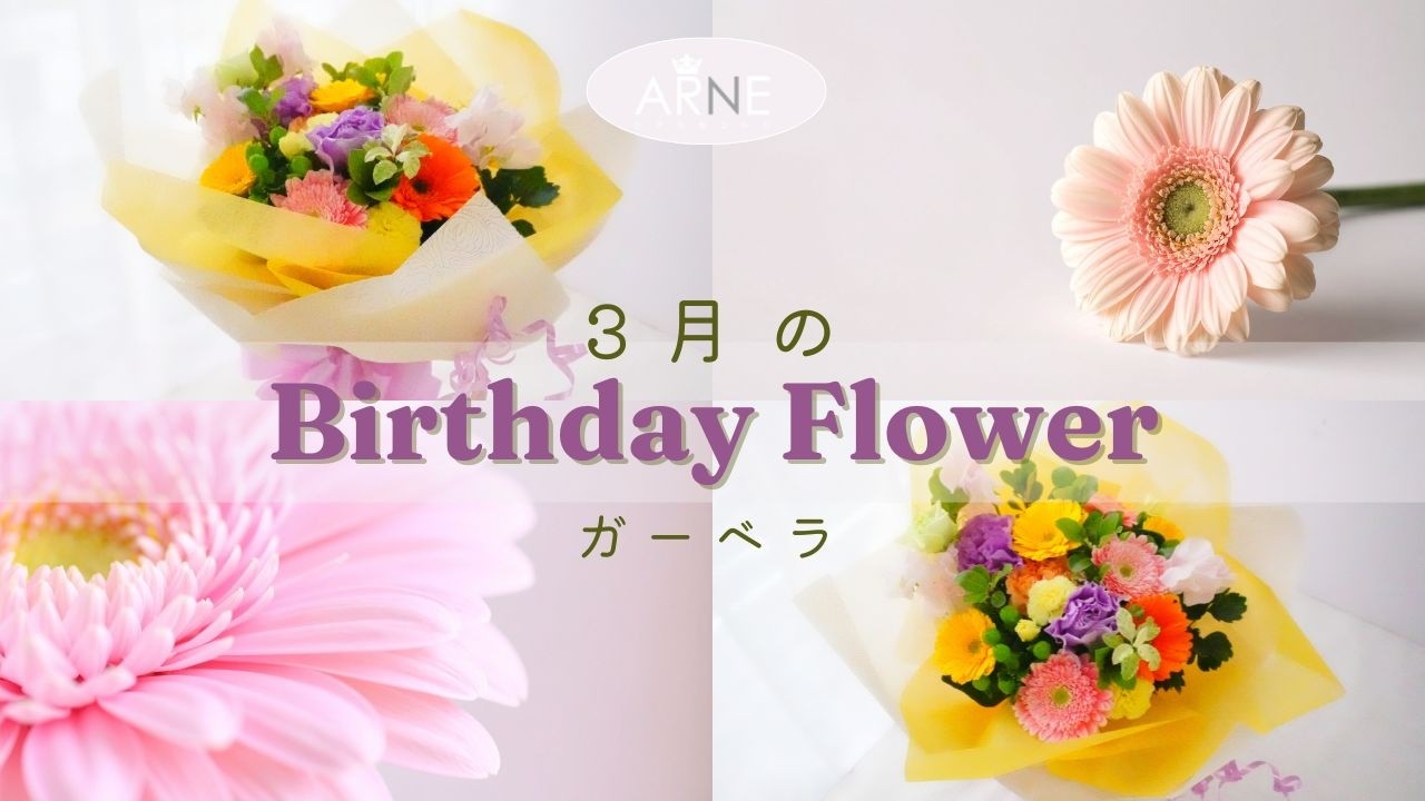 お誕生月の花束　　「ガーベラ」【wz007】