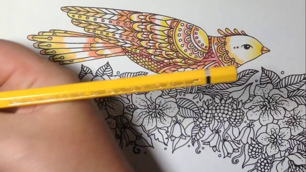 How to color with watercolor pencils and waterbrush - dagdrömmar coloring book