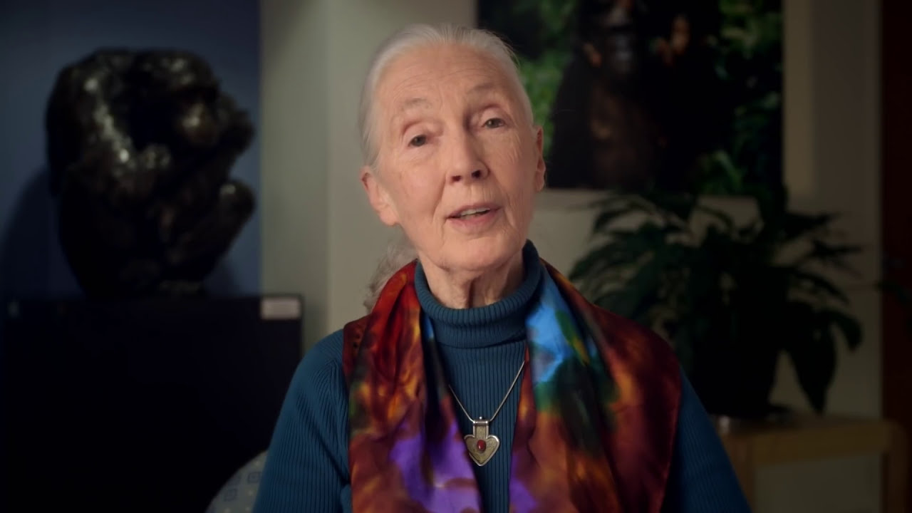 Making a Difference with Dr. Jane Goodall.