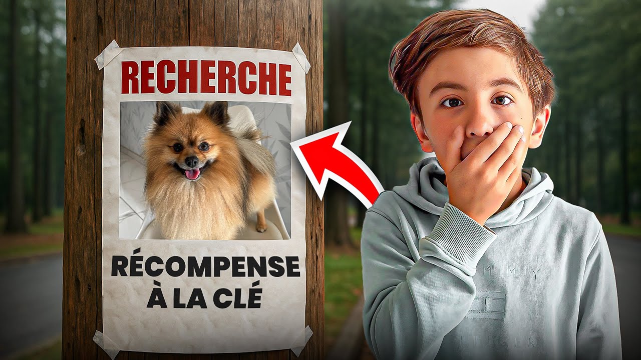 CODI PERD SON CHIEN !!!