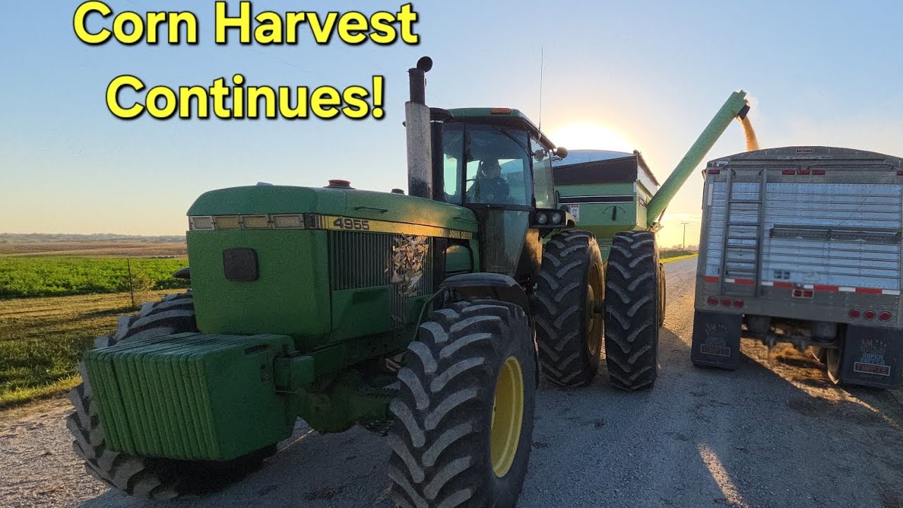 Corn Harvest in Iowa Continues!