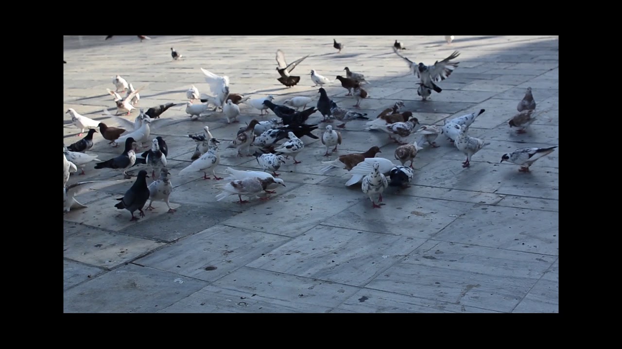 IxD Interaction Design Group 70