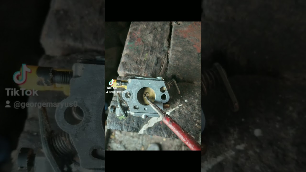Pistonas pompa spriț sthil ms 250