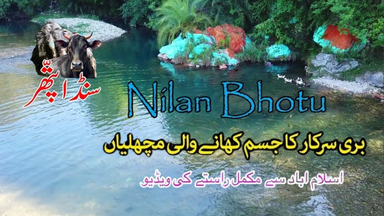 Nilan Bhoto | Neelan Bhotu l Chillah Gah Bari Imam lMargallah Hills | Complete Road Guide & History