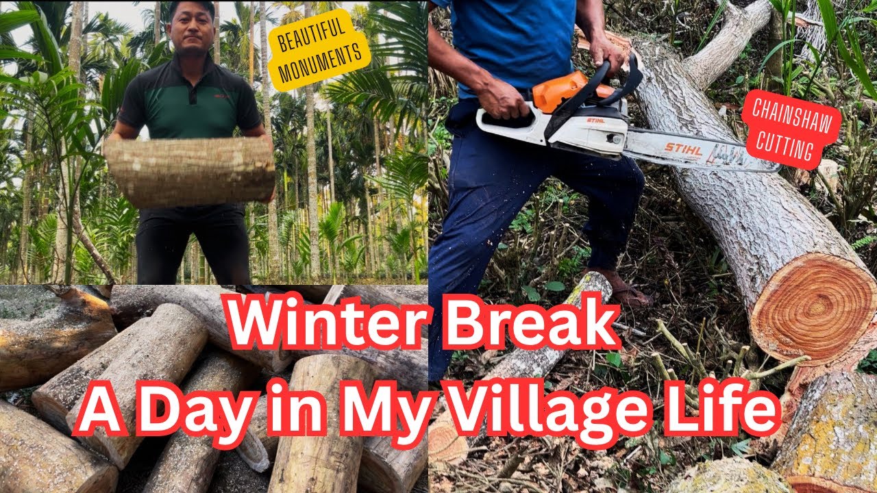 My Winter Break 2026 Tree Felling Workout #adventurousprofessor #2026 #winterbreak