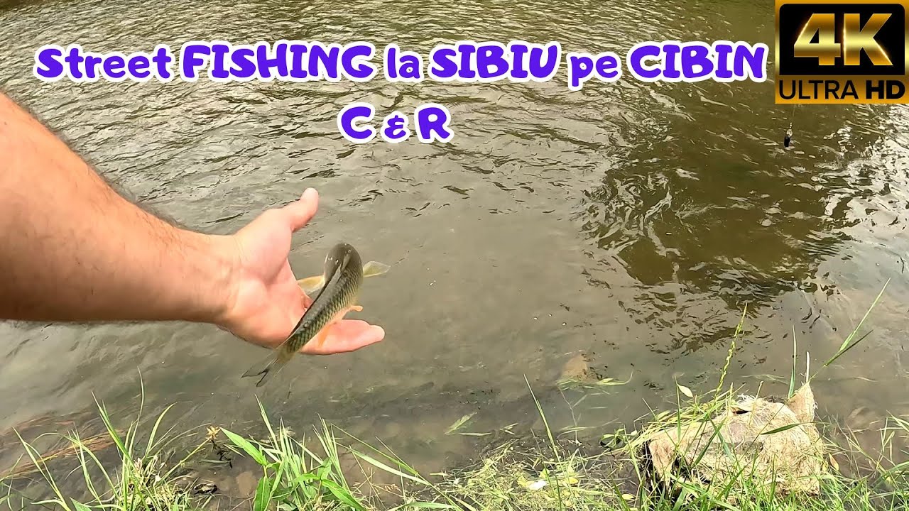 🎣Street FISHING pe raul CIBIN, in centrul orasului SIBIU. Cu echipa VESELA dupa mine! Spinning CLEAN