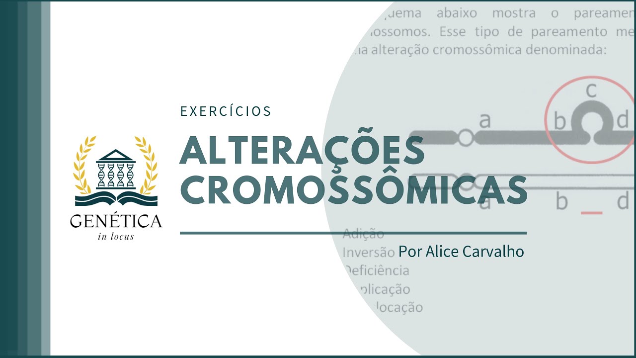 Exercícios: Alterações Cromossômicas