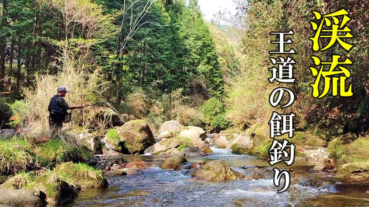 渓流釣り　活性に合わせて釣り方を変えるとサイズアップしたヒレピンが！【アマゴ餌釣り】