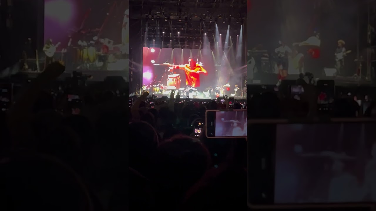 Potente momento en el concierto de Residente en CDMX 2025 que viva la Am&eacute;rica