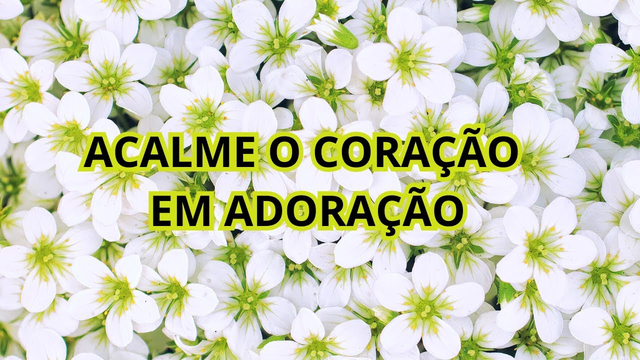 Louvor Calmo & Contemplativo – Adoração Suave para Orar e Descansar - Ágape Sounds