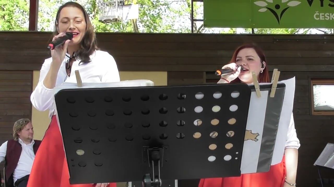 00117 - Kdybych byla ptáčkem - 2.verze