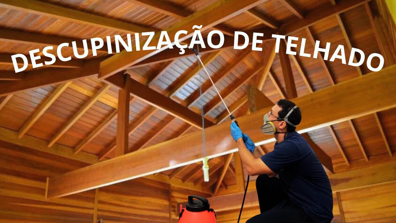 Descupinização de telhado