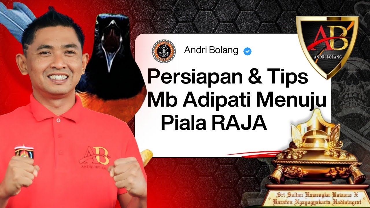 BAGAIMANA MERAWAT MURAI BATU YANG JINAK?? Ini solusinya || Persiapan MB adipati