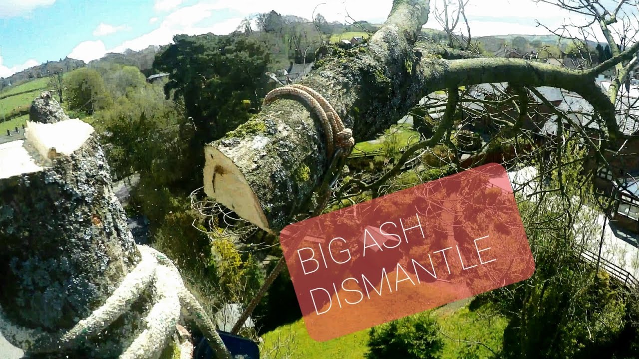 BIG ASH SMALL DROPZONE