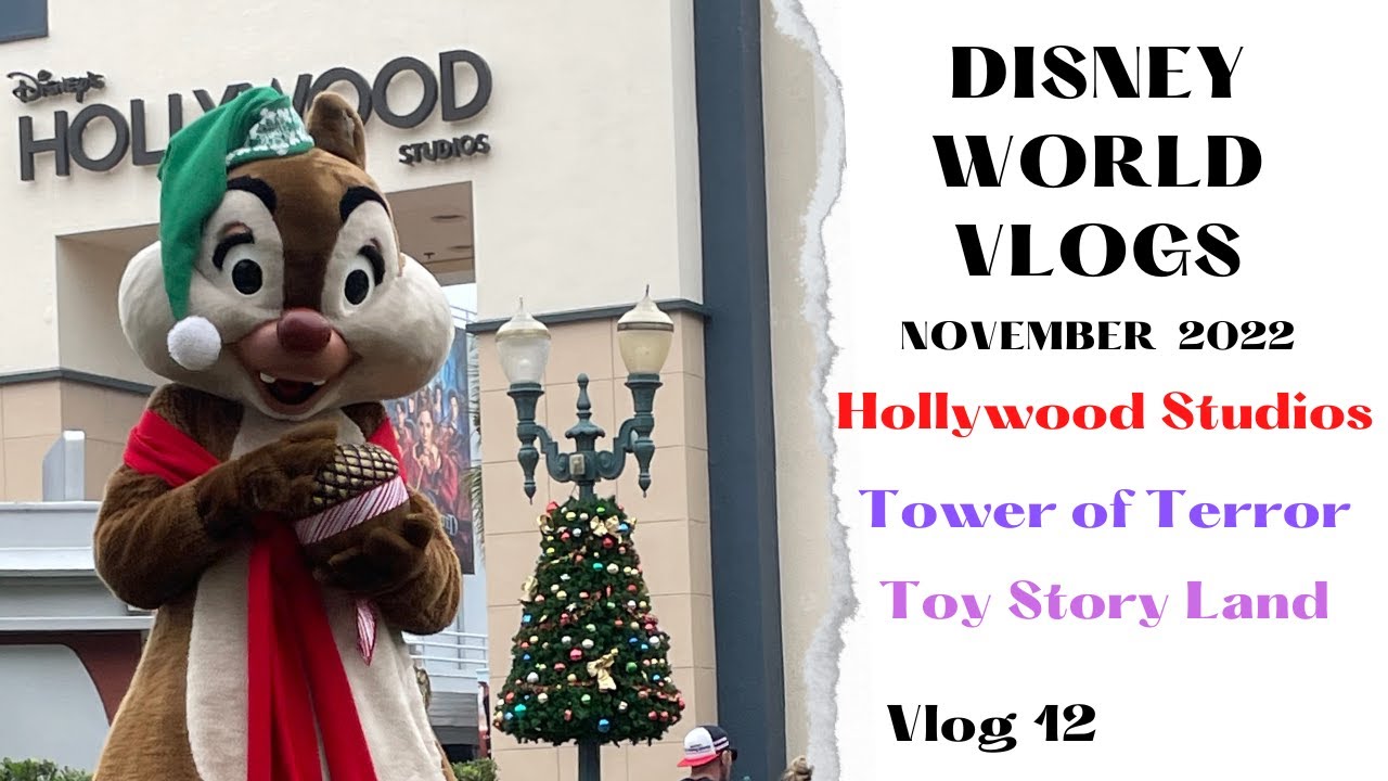 DISNEY WORLD VLOG-Tower of Terror-Disney Hollywood Studios-Toy Story Land-Disney Cars-Nov 2022