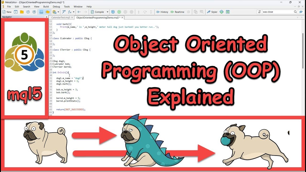 Introduction to Object Oriented Programming (OOP) in MetaTrader Programming (mql5)