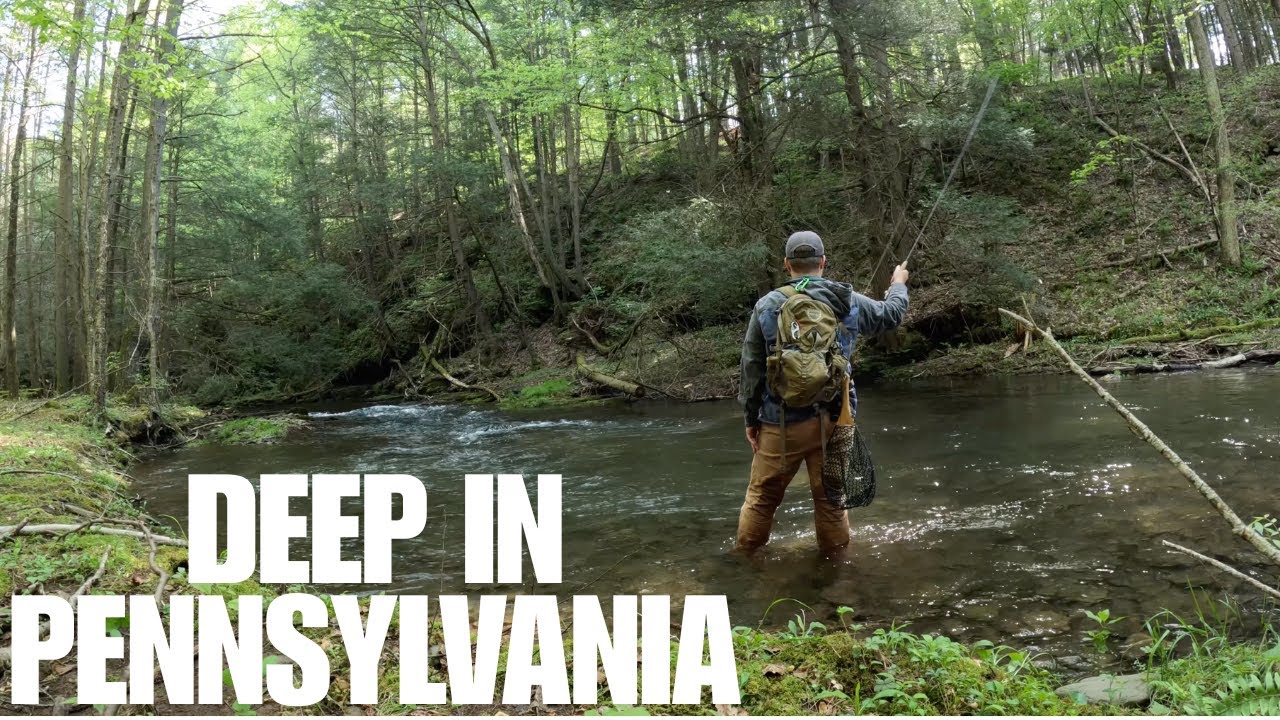 Beautiful Brook Trout Fishing and Hiking
