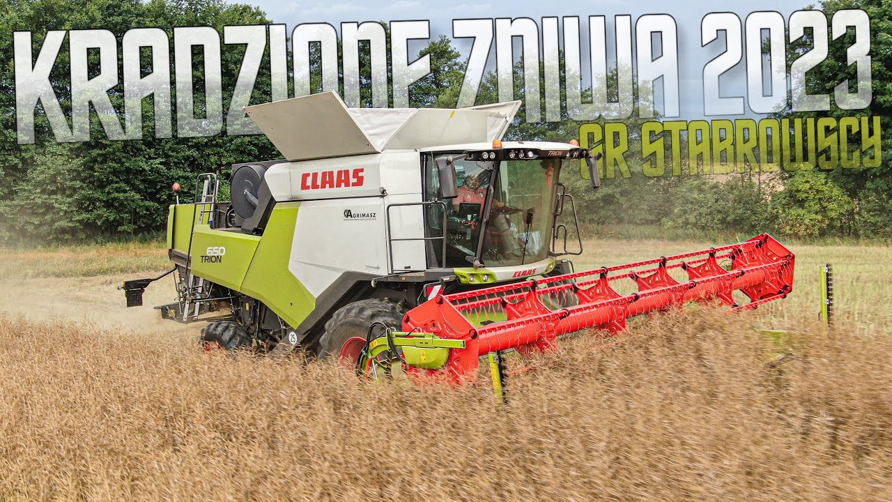 ✩ 🇵🇱 "KRADZIONE ŻNIWA 2023 Z NOWYM NABYTKIEM ✩ Claas Trion 650 & Gr Stabrowscy ✩