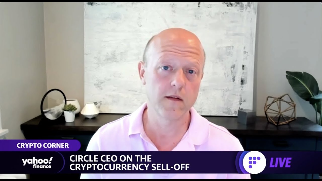 Terra stablecoin collapse was &lsquo;entirely predictable,&rsquo; Circle CEO says