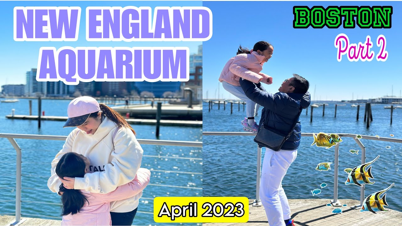 WEEKEND IN BOSTON Part 2: New England Aquarium | Gail Lim RN