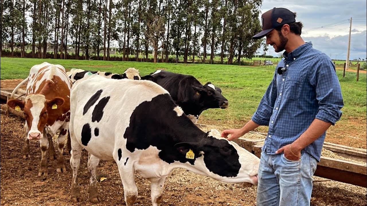 Genética de altíssima qualidade da Fazenda Vale do Leite!