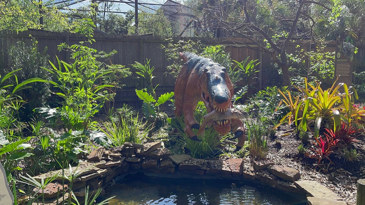 Animatronic Dinosaur Exhibit at Houston Zoo
