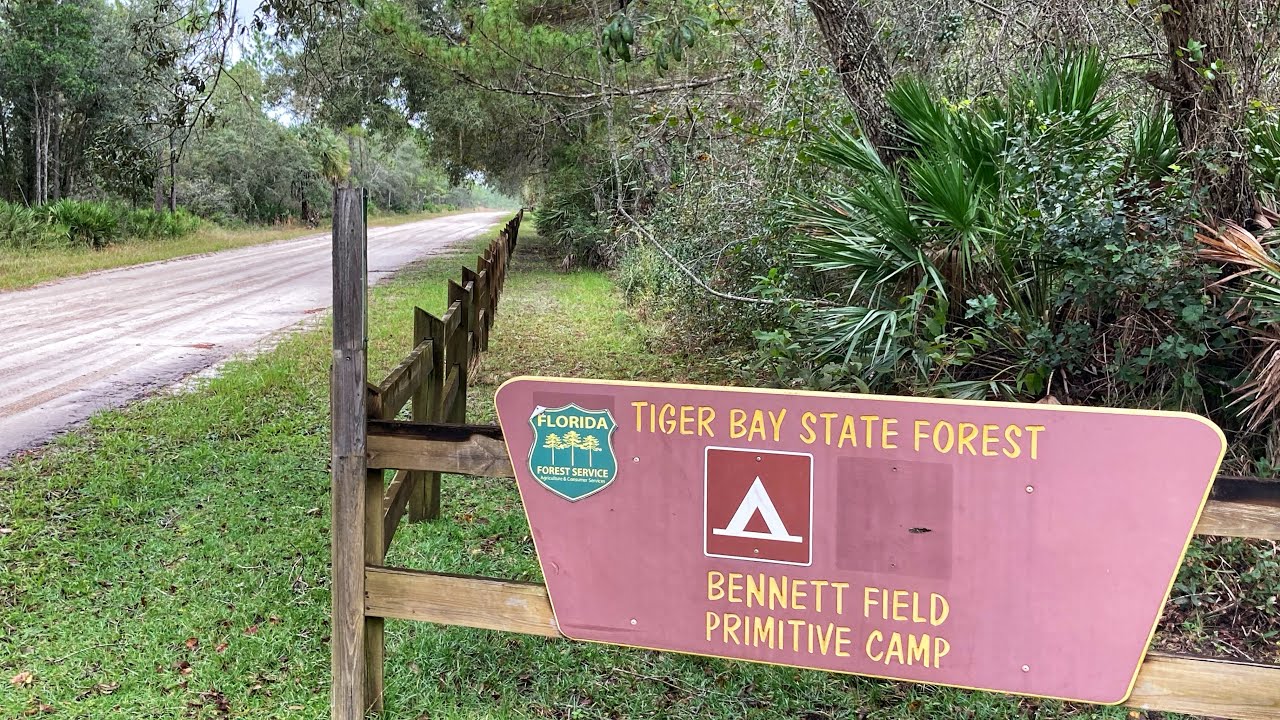 Affordable RV Camping at Bennett Field CG, Tiger Bay State Forest, FL