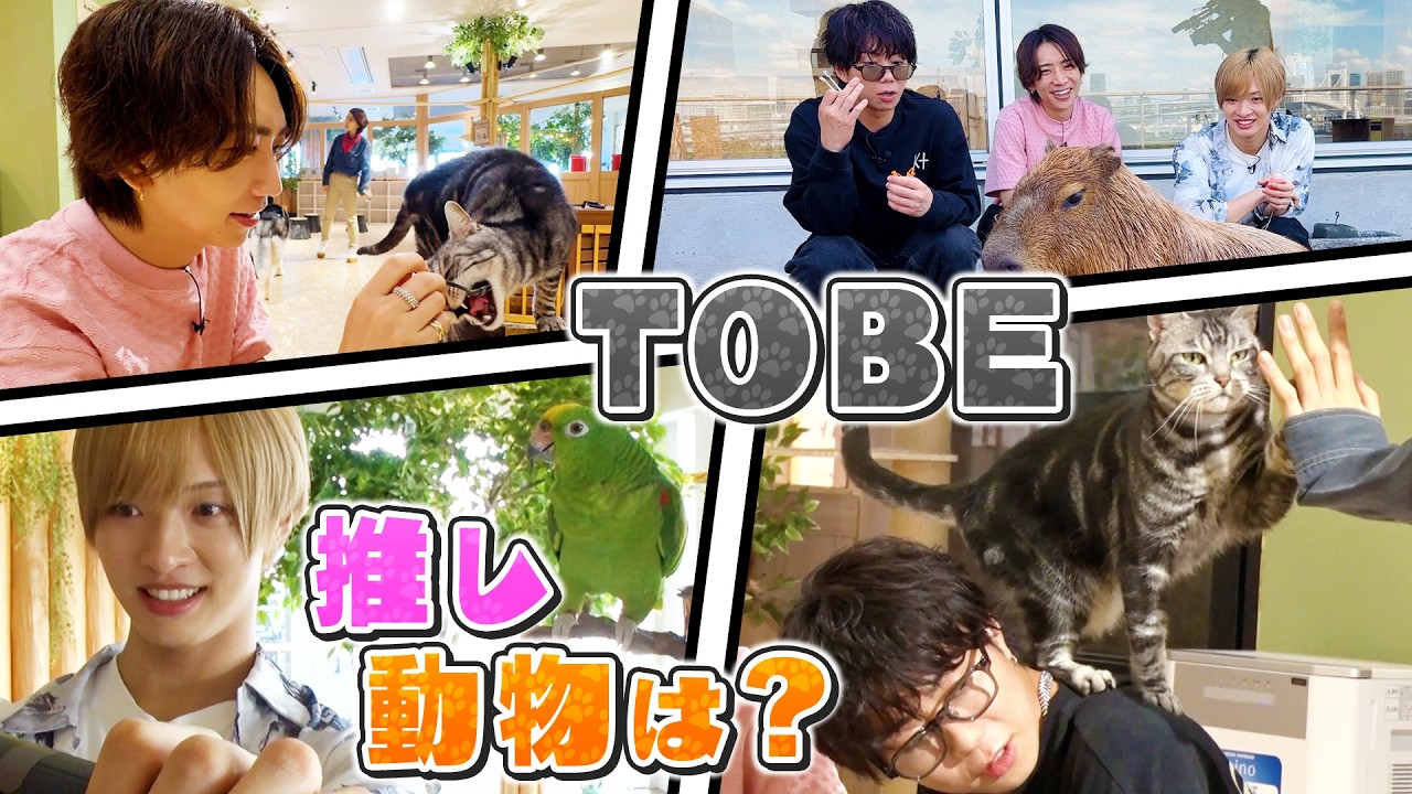 【癒し♡】TOBEの後輩IMP.あらた＆がちゃんと動物に触れ合いまくります#211