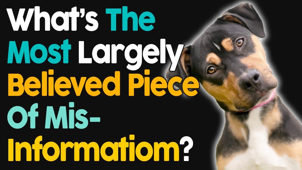 What Is The Most Largely Believed Piece Of Misinformation?