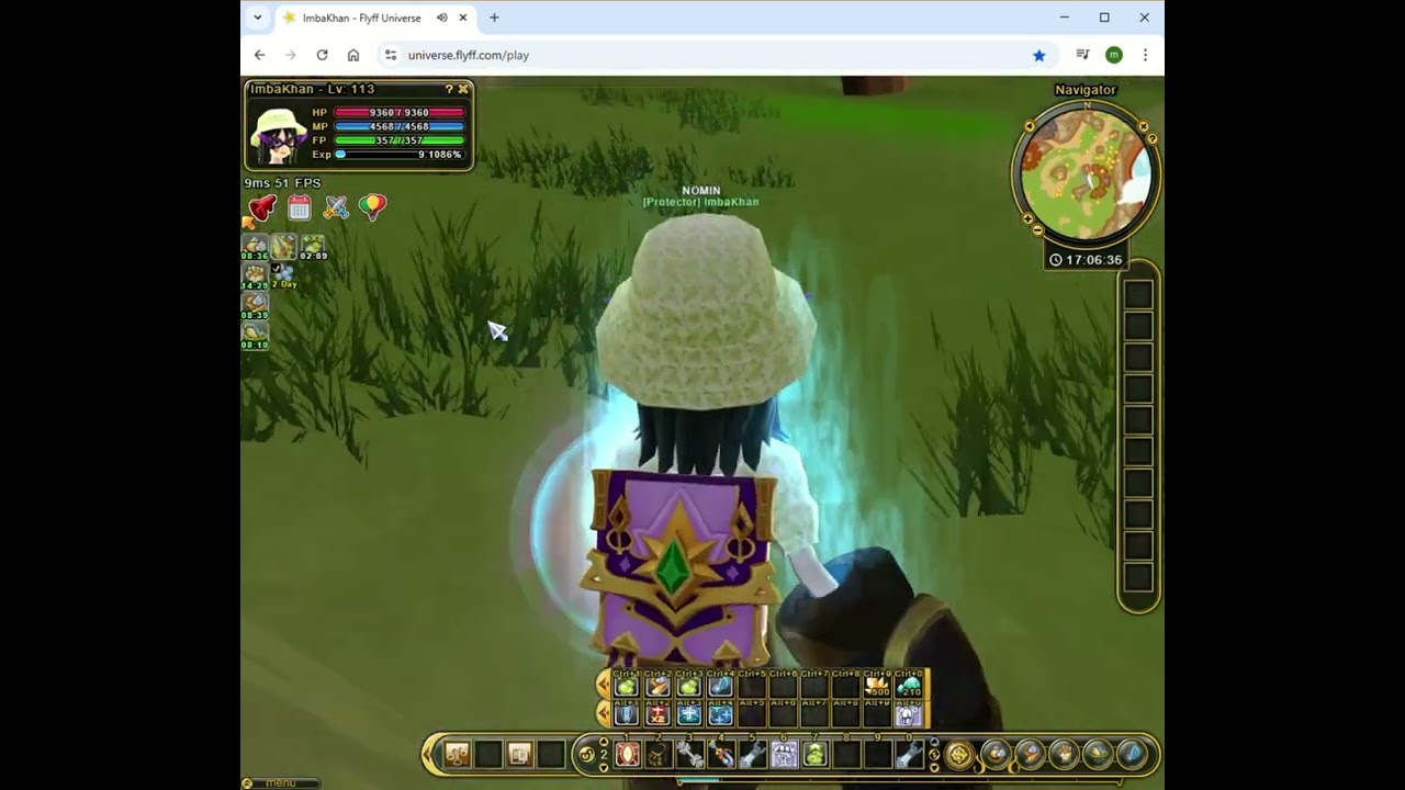PENYA Farming Beginners, Newbie and F2P players in  Flyff Universe