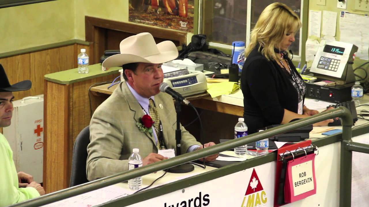 Winners - 2013 LMAC Auctioneer Championship - Winners