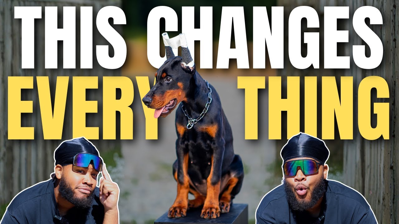 В 2026 году собаководство претерпит значительные изменения.