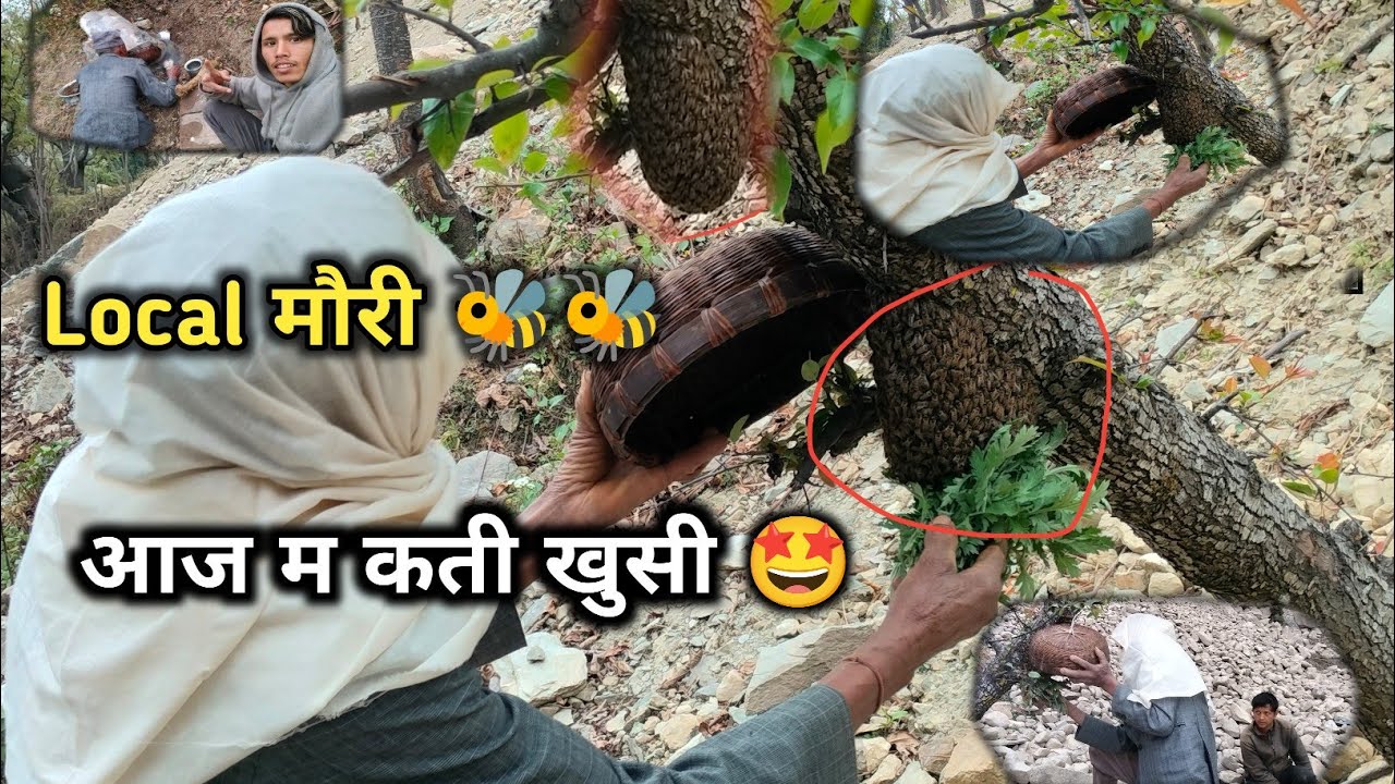 आज म कती खुसी 😃 | Mero Ghar_Ma Pani Mauri🐝🐝 Palan 🤗