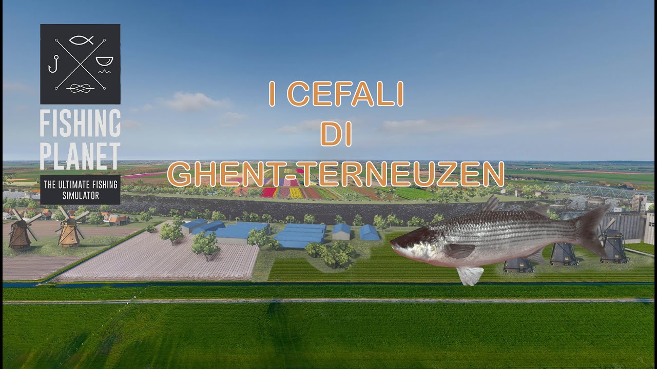 Fishing Planet: I Cefali di Ghent terneuzen