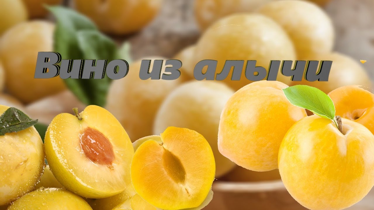 Вино из Алычи. Как приготовить вино из Алычи дома. Часть 1