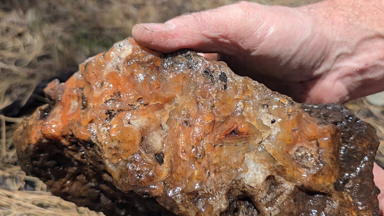 Dream Deposit Loaded With Giant Agates With Inclusions! Rockhounding Central Oregon New Find!