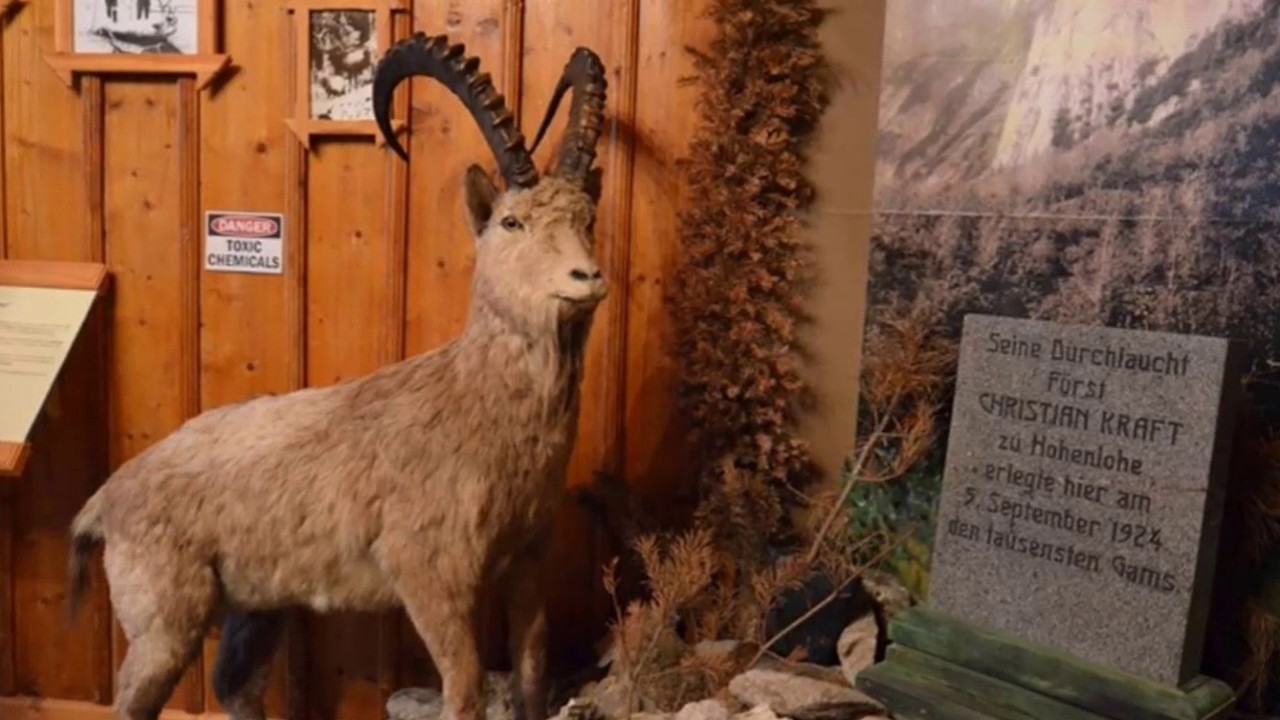 Lovecký zámoček Hohenlohe  - Tatranská Javorina