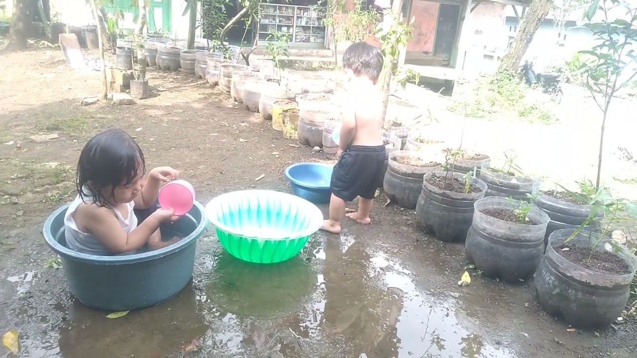 ADEK LAGI NYIRAM TANAMAN
