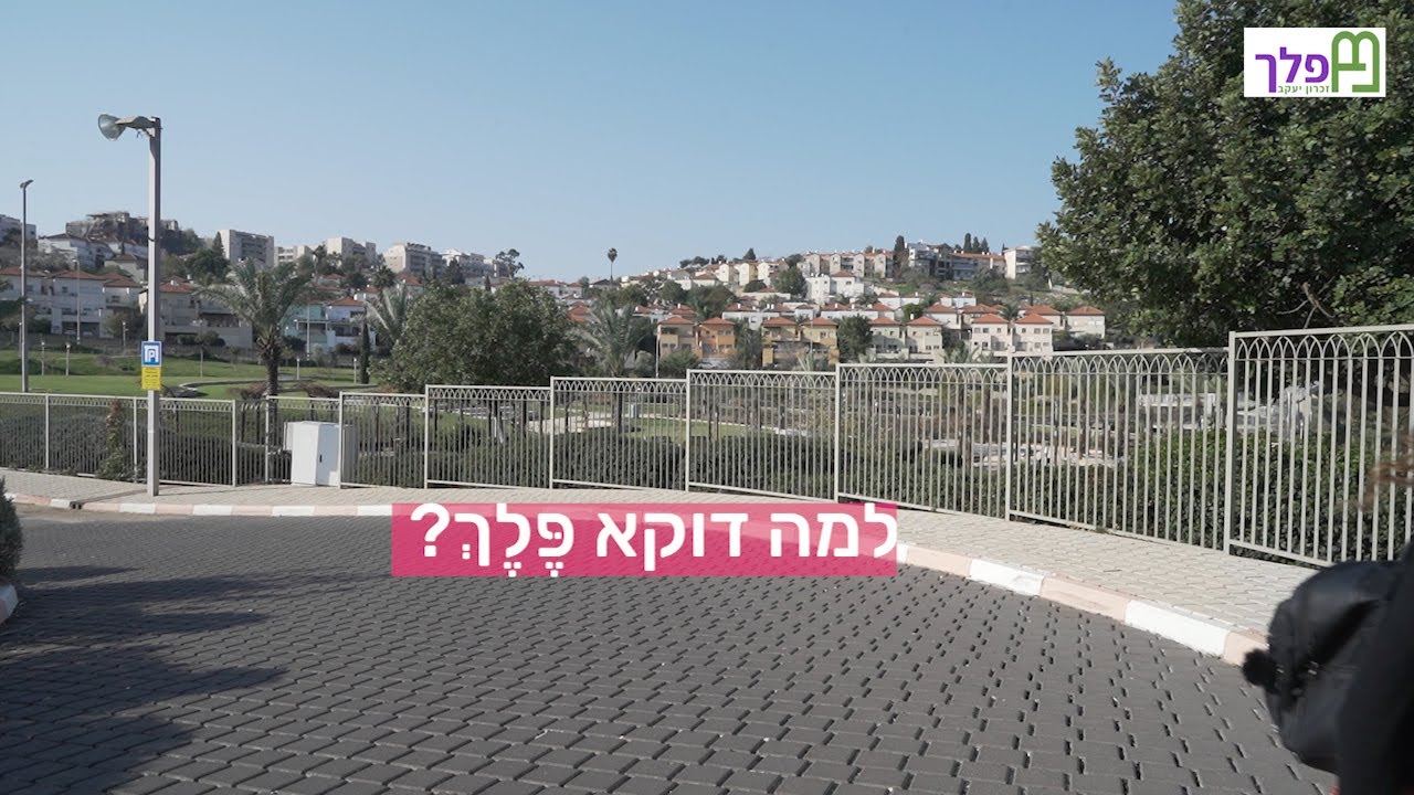 פלך זכרון תדמית