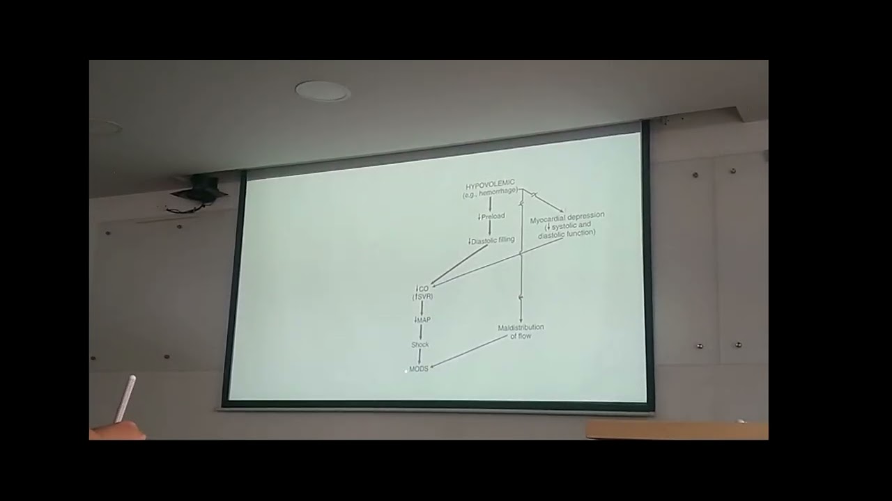 Video Project doceava class f1$1100