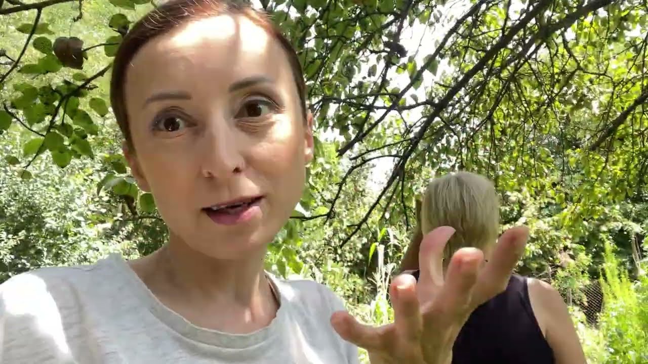 დღე 49 - სოფლის Vlog  #sub #vlog #ქართულად #ვლოგი 
