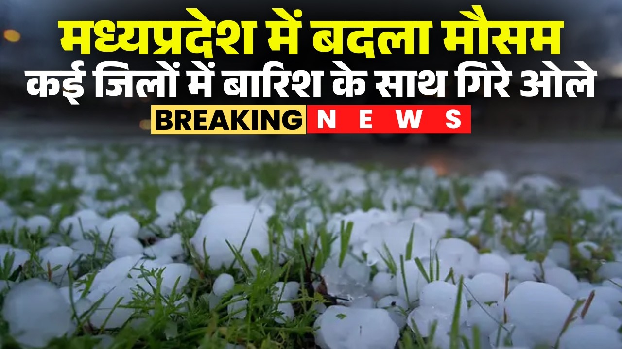 MP Weather Update: The weather has changed in the state. Rain and hail have fallen in several dis...