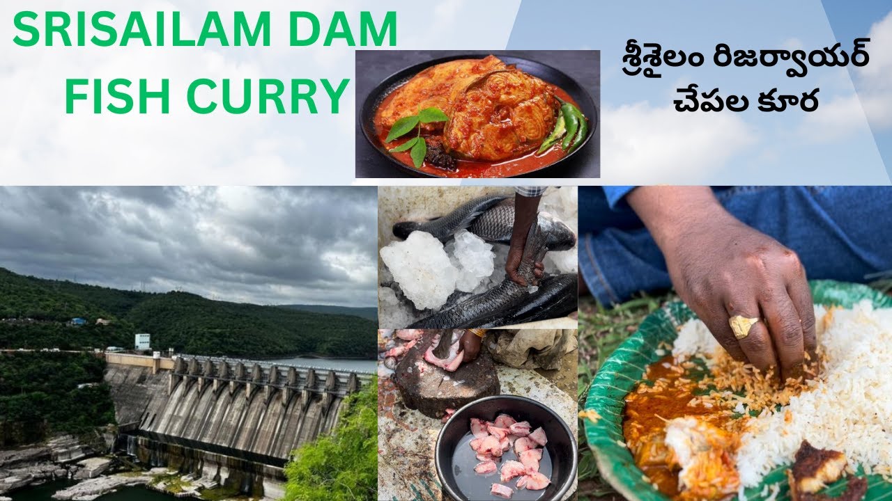 SRISAILAM DAM FISH CURRY # శ్రీశైలం రిజర్వాయర్ చేపల కూర # SRISAILAM # TRAVEL WITH INDRA #