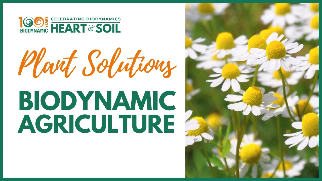 Global Biodynamics | Plant Medicine Solutions | Harald Hoven #biodynamicfarming