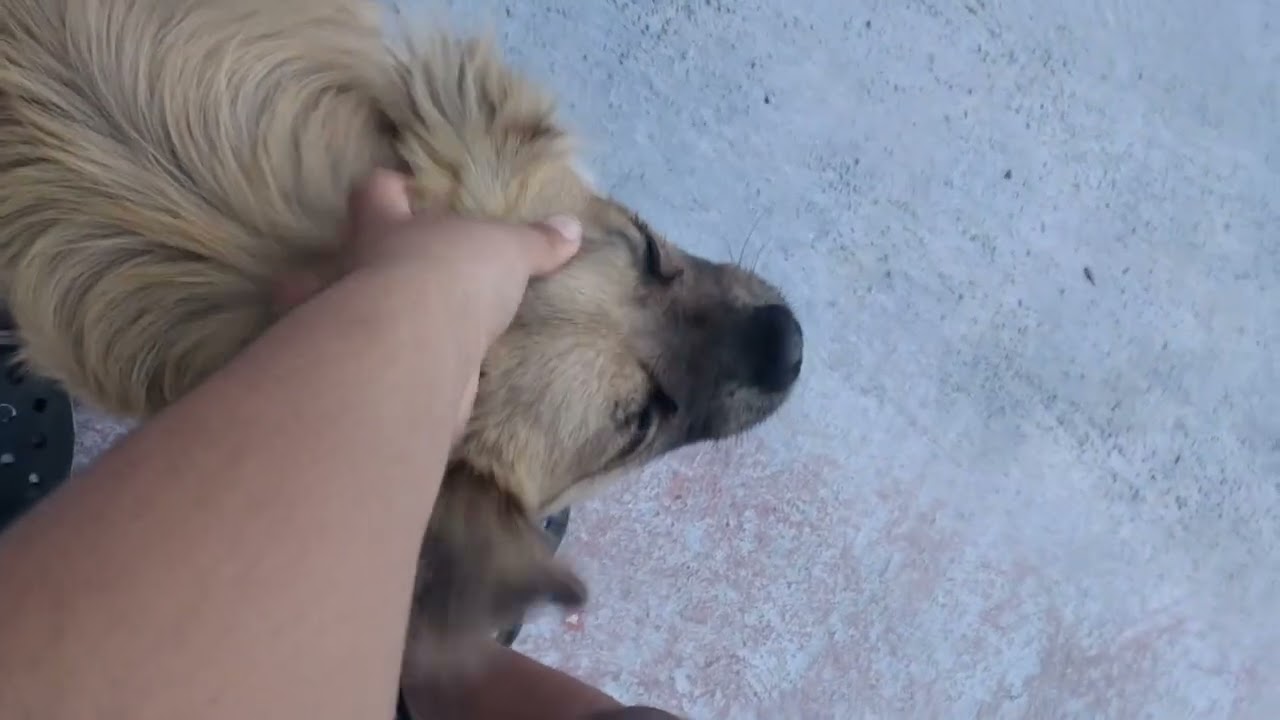 3 video